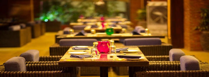 2441/Hotel Waterlily - Indore 13.jpg
